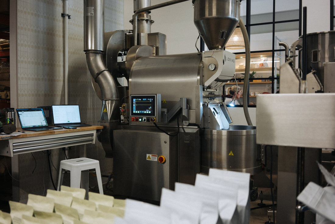 The Loring Kestrel 35 on the roastery floor