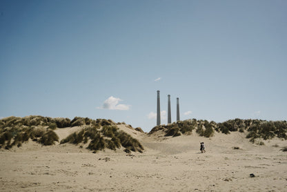 The dunes on the Central Coast