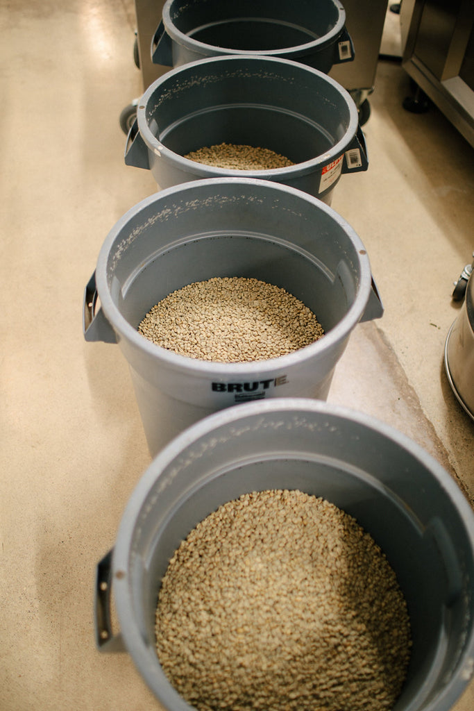 Green coffee weighed out by lot at the HoneyCo roastery